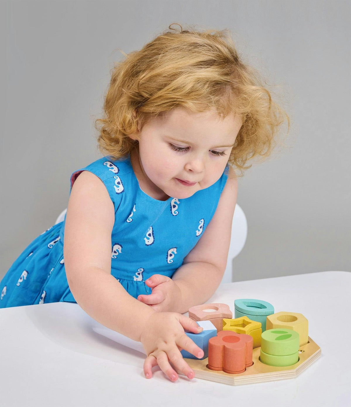 Sensory Bundle