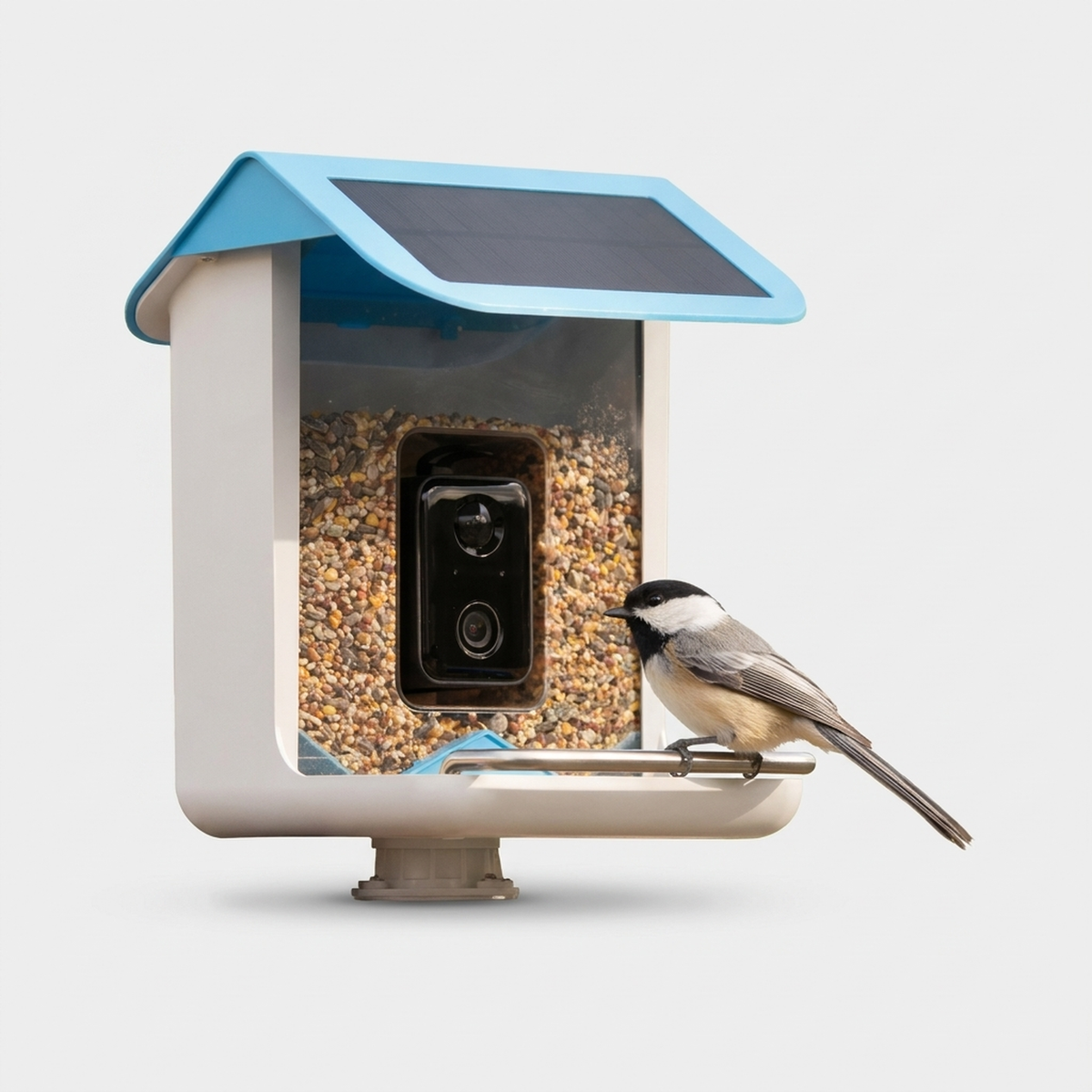 AVIASCOUT – Solar Smart Bird Feeder Camera for Everyday Wildlife Watching