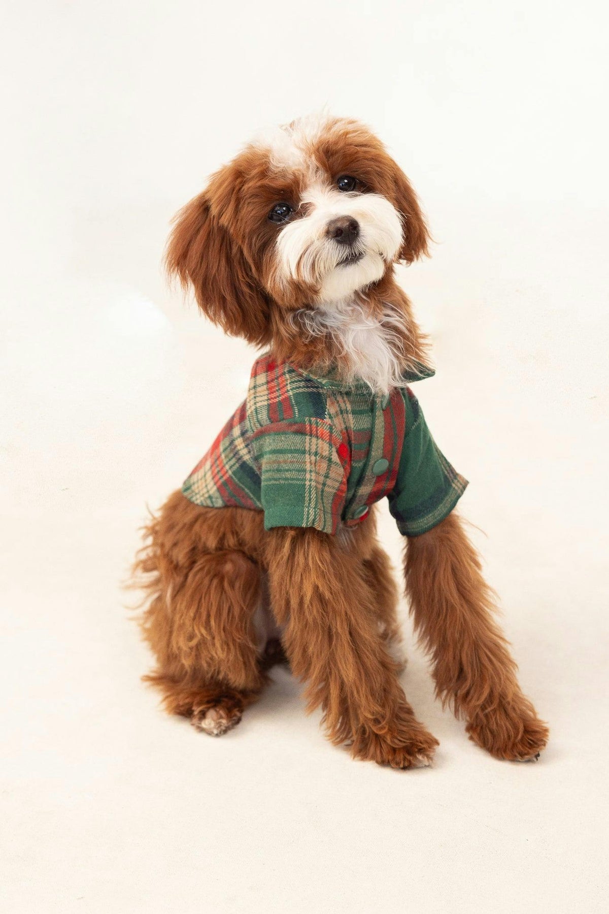 Green Plaid Dog Shirt