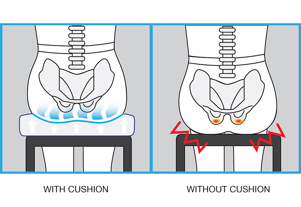 Posture Improving Contoured Comfort Cushion