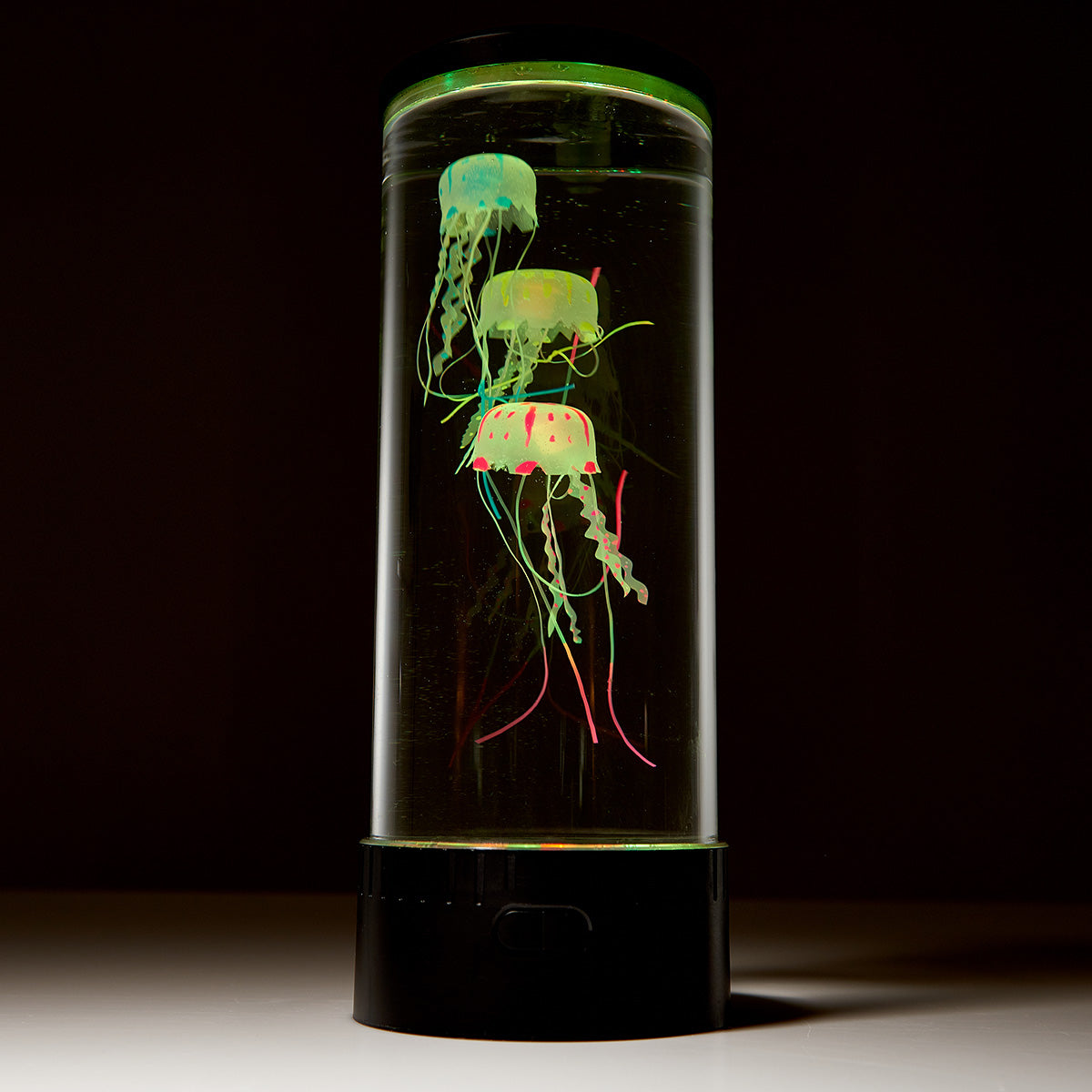 Jellyfish Aquarium