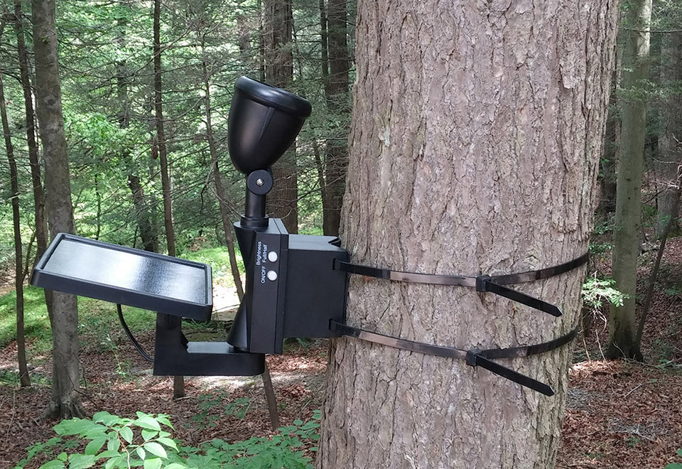 Solar LED Flagpole Light