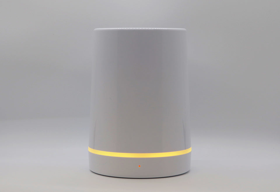 Smart Voice-Activated Lock Box