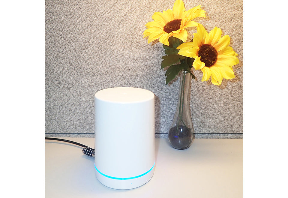 Smart Voice-Activated Lock Box
