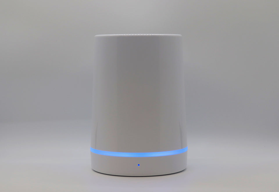 Smart Voice-Activated Lock Box