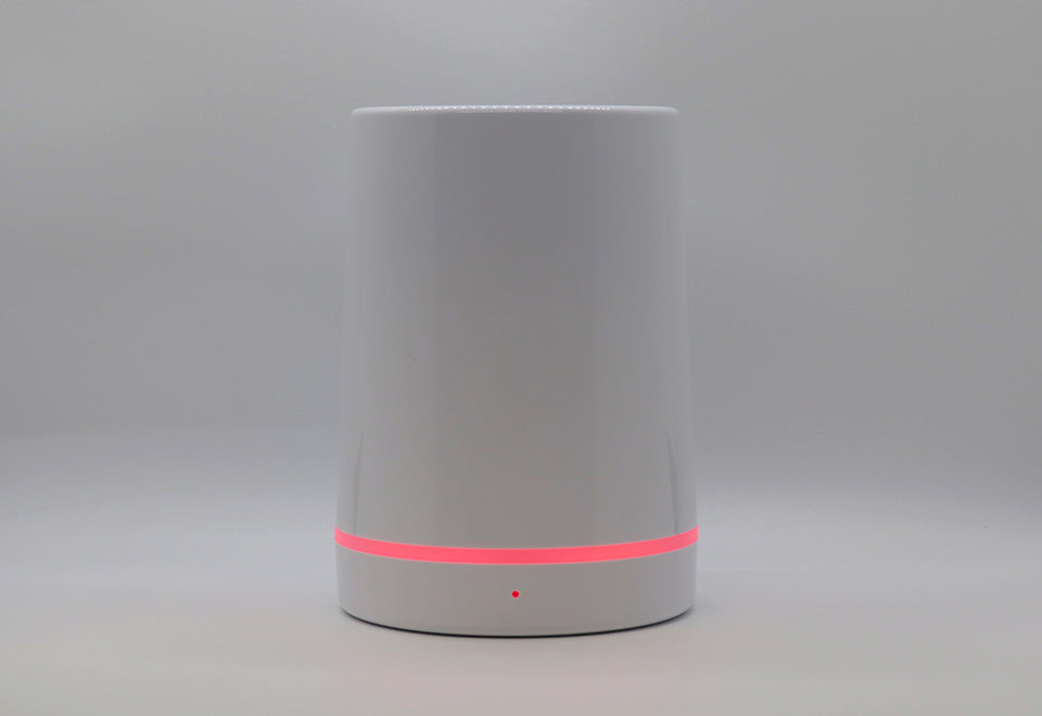 Smart Voice-Activated Lock Box