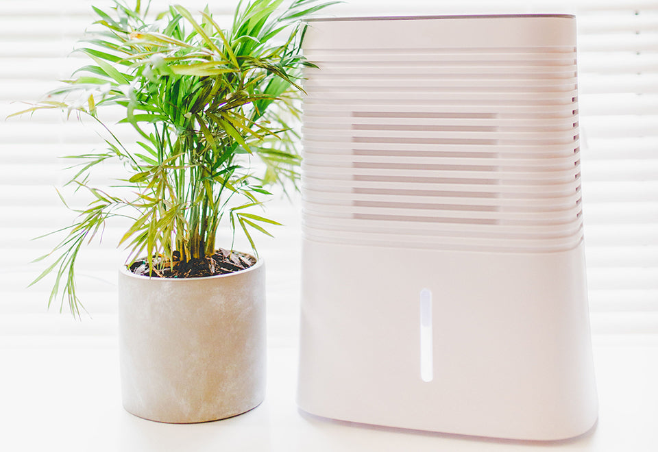 4 Pint Dehumidifier