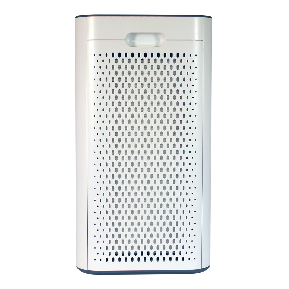 Whole House Air Purifier