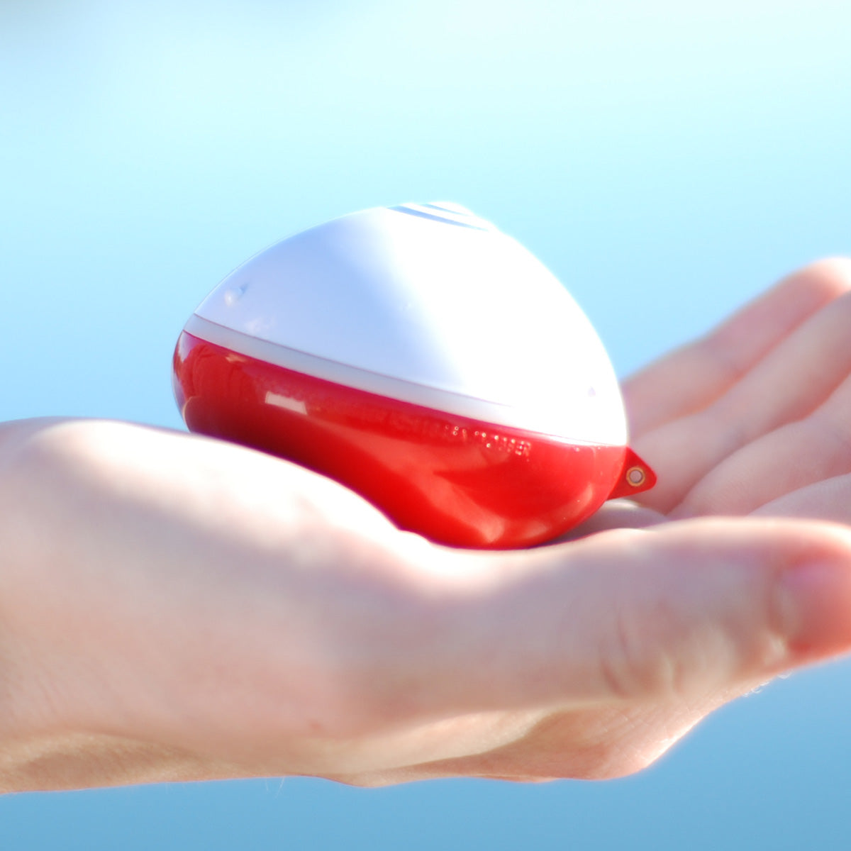 Smart Fish Finder