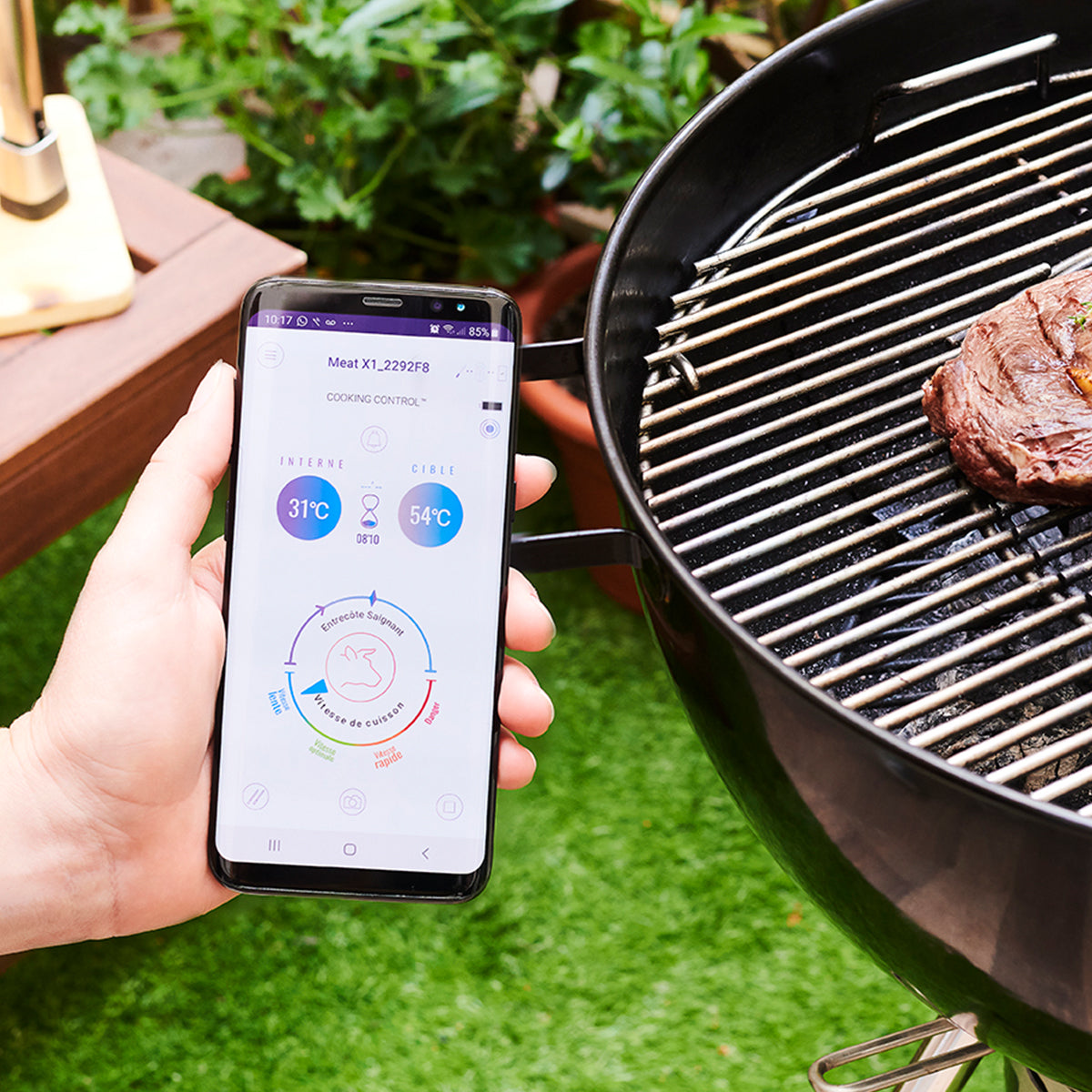 Wireless Meat Thermometer