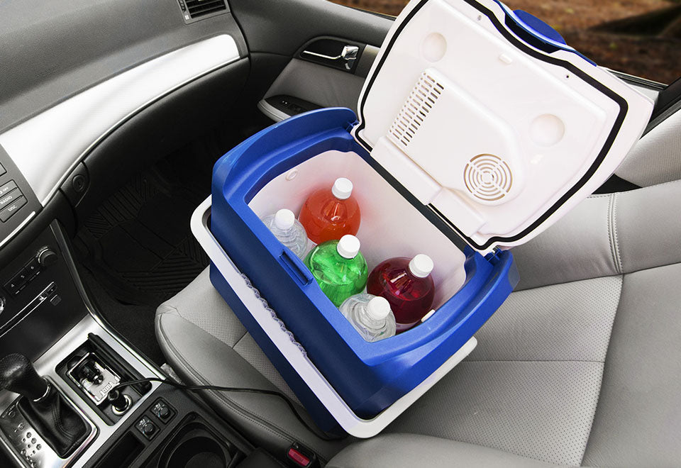 Portable Fridge and Food Warmer
