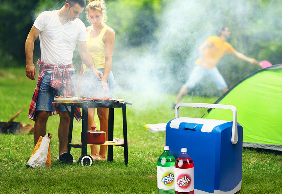 Portable Fridge and Food Warmer