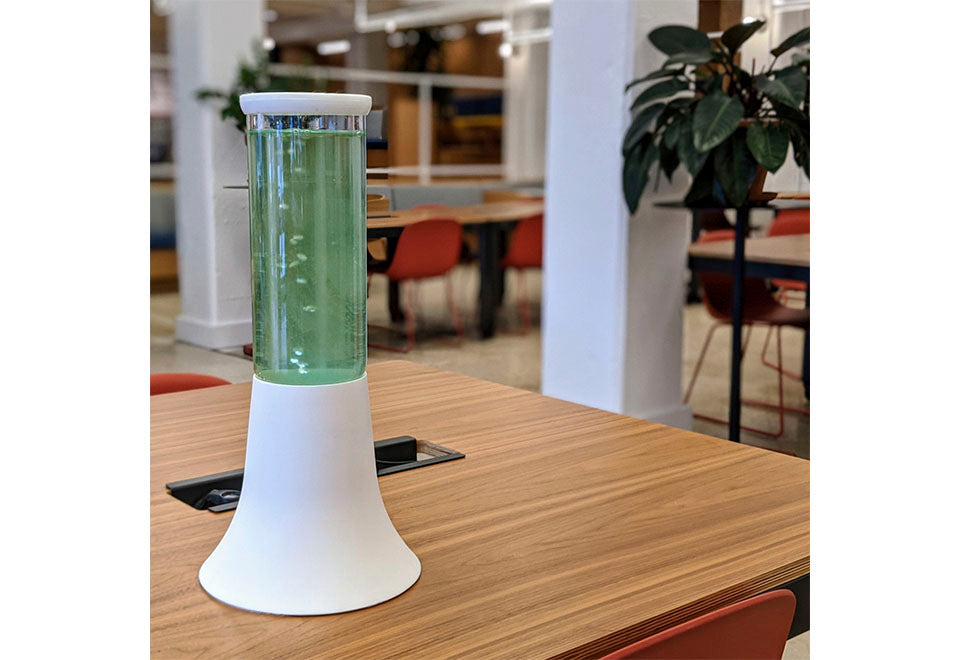 Natural Algae Air Purifier