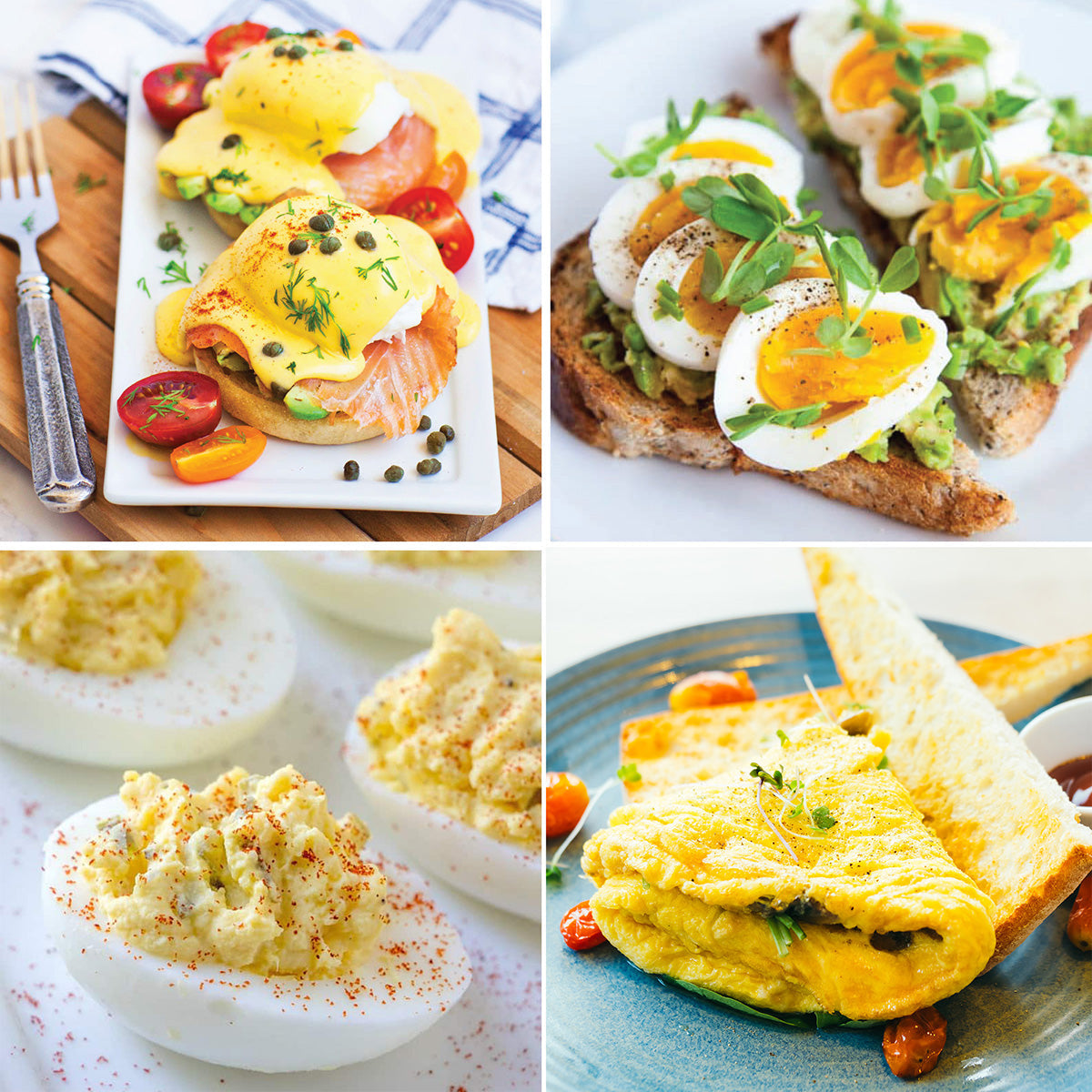 Stainless Steel Easy Egg Cooker