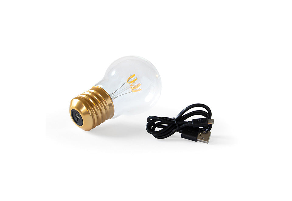 Cordless Lightbulb Lamp