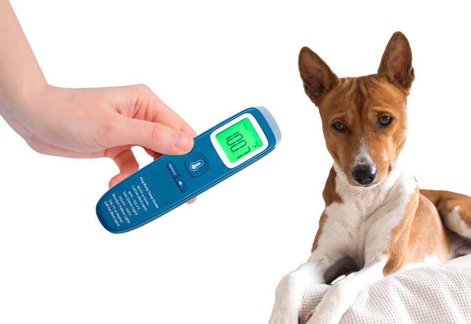 No-Contact Dog Thermometer