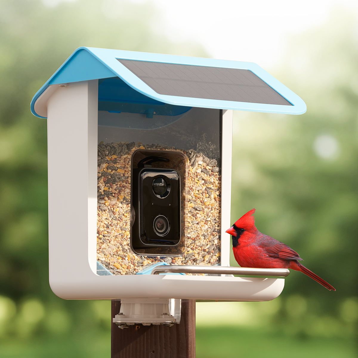 Video Camera Bird Feeder by Sharper Image