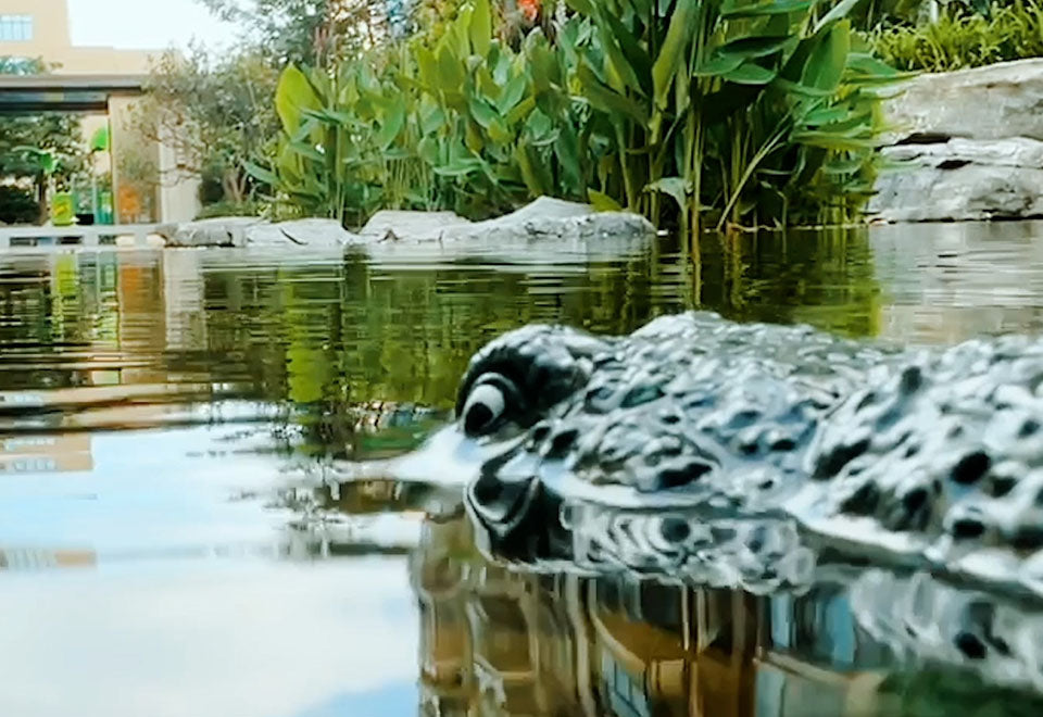 RC Robot Crocodile