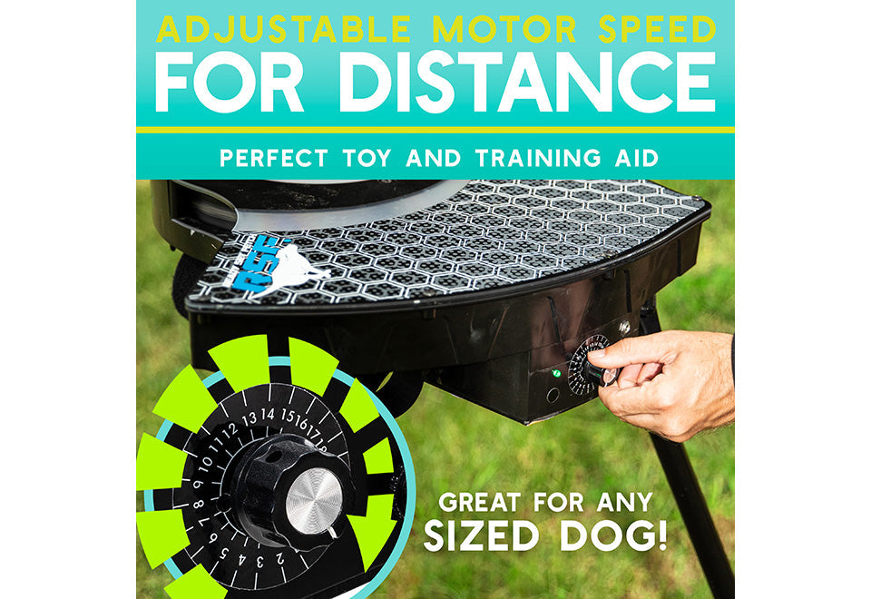 Automatic Dog Disc Launcher