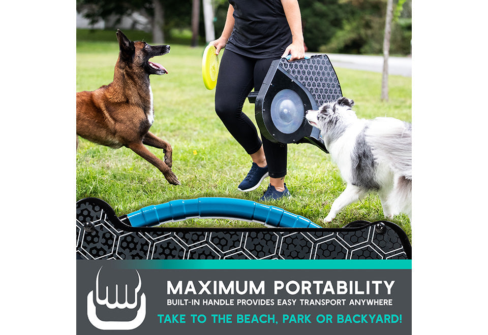 Automatic Dog Disc Launcher