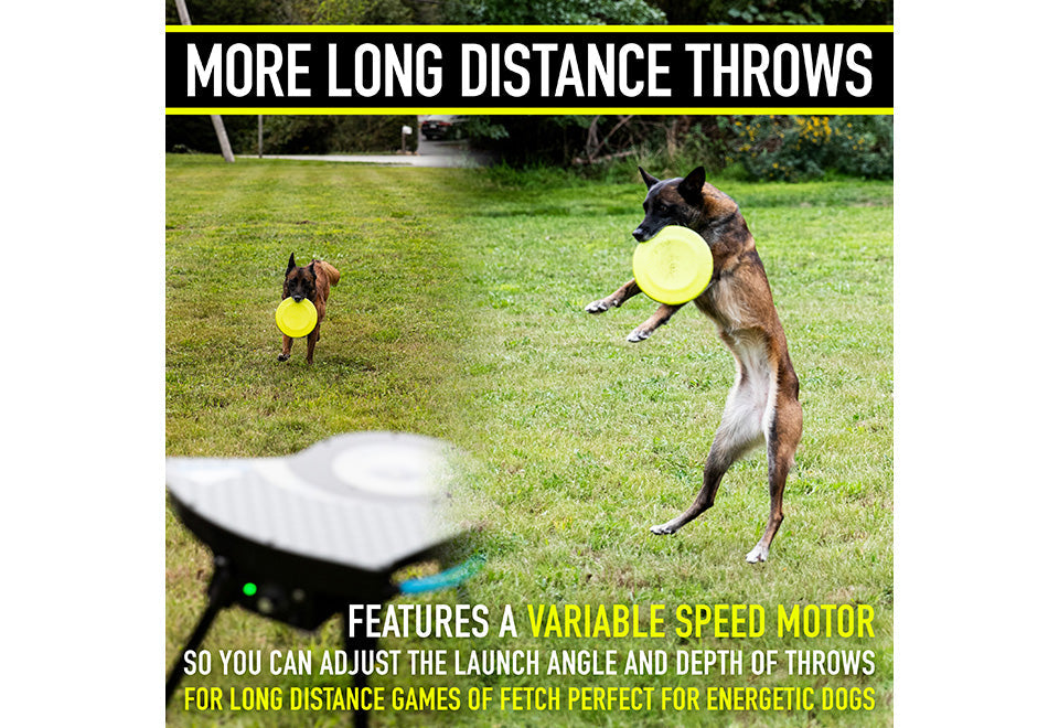 Automatic Dog Disc Launcher