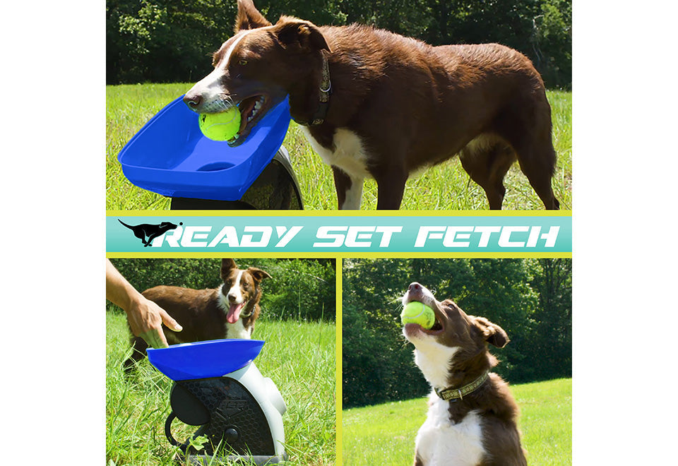 Automatic Tennis Ball Launcher