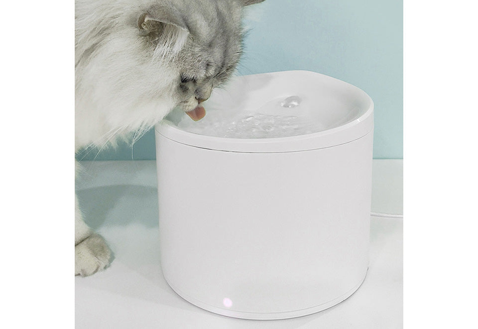 Smart Pet Water Fountain
