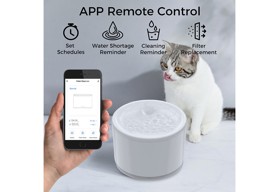 Smart Pet Water Fountain