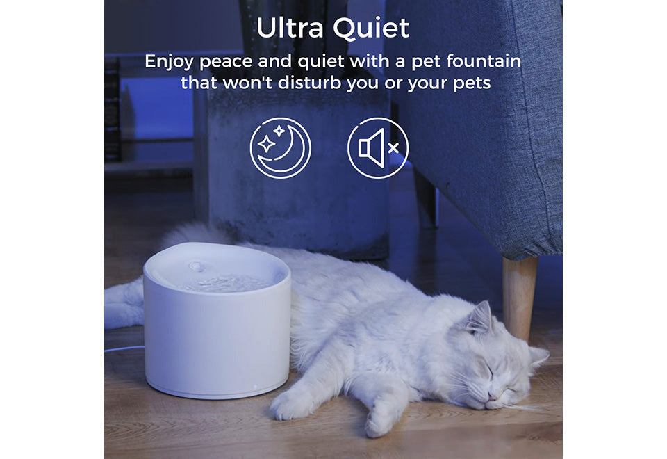 Smart Pet Water Fountain