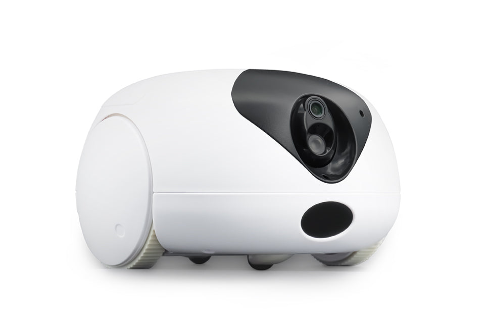 Robotic Pet Interaction Toy