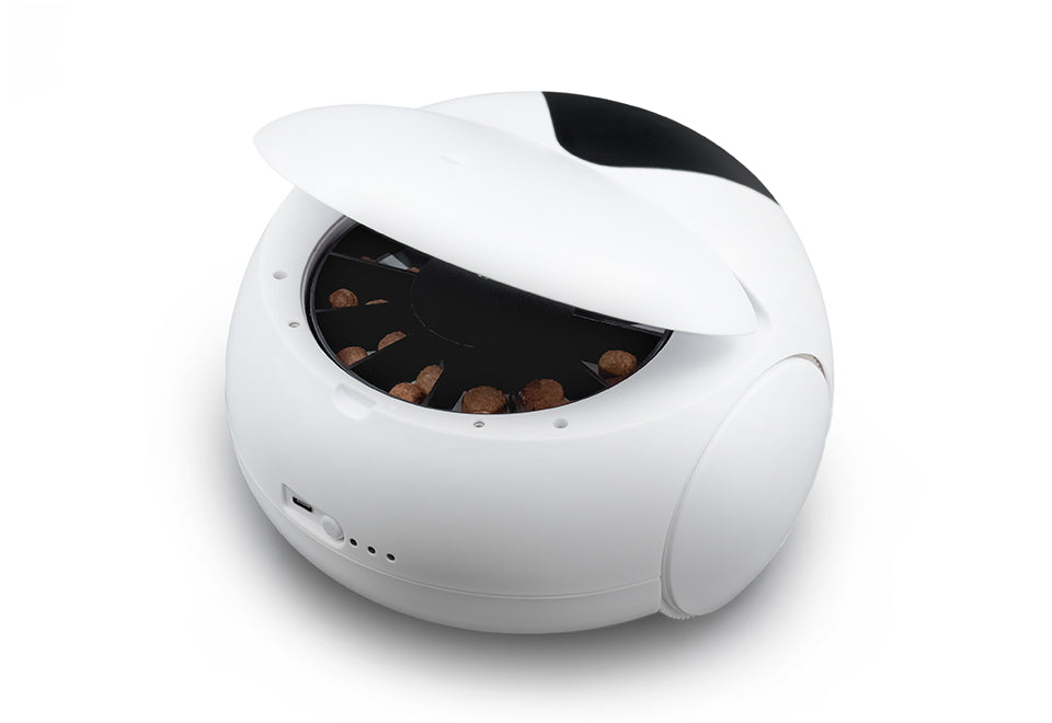Robotic Pet Interaction Toy