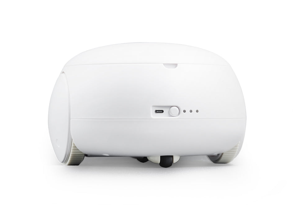 Robotic Pet Interaction Toy