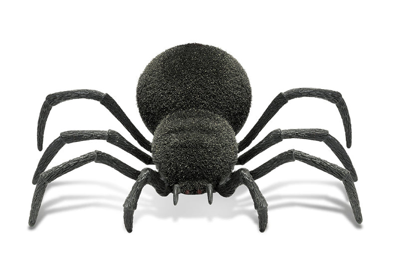 Spooky RC Spider