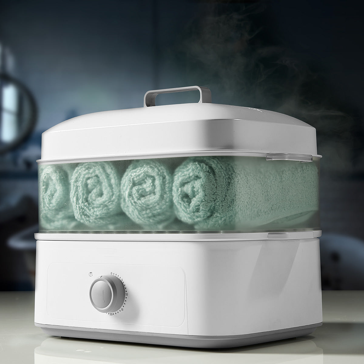 Hot Towel Steamer
