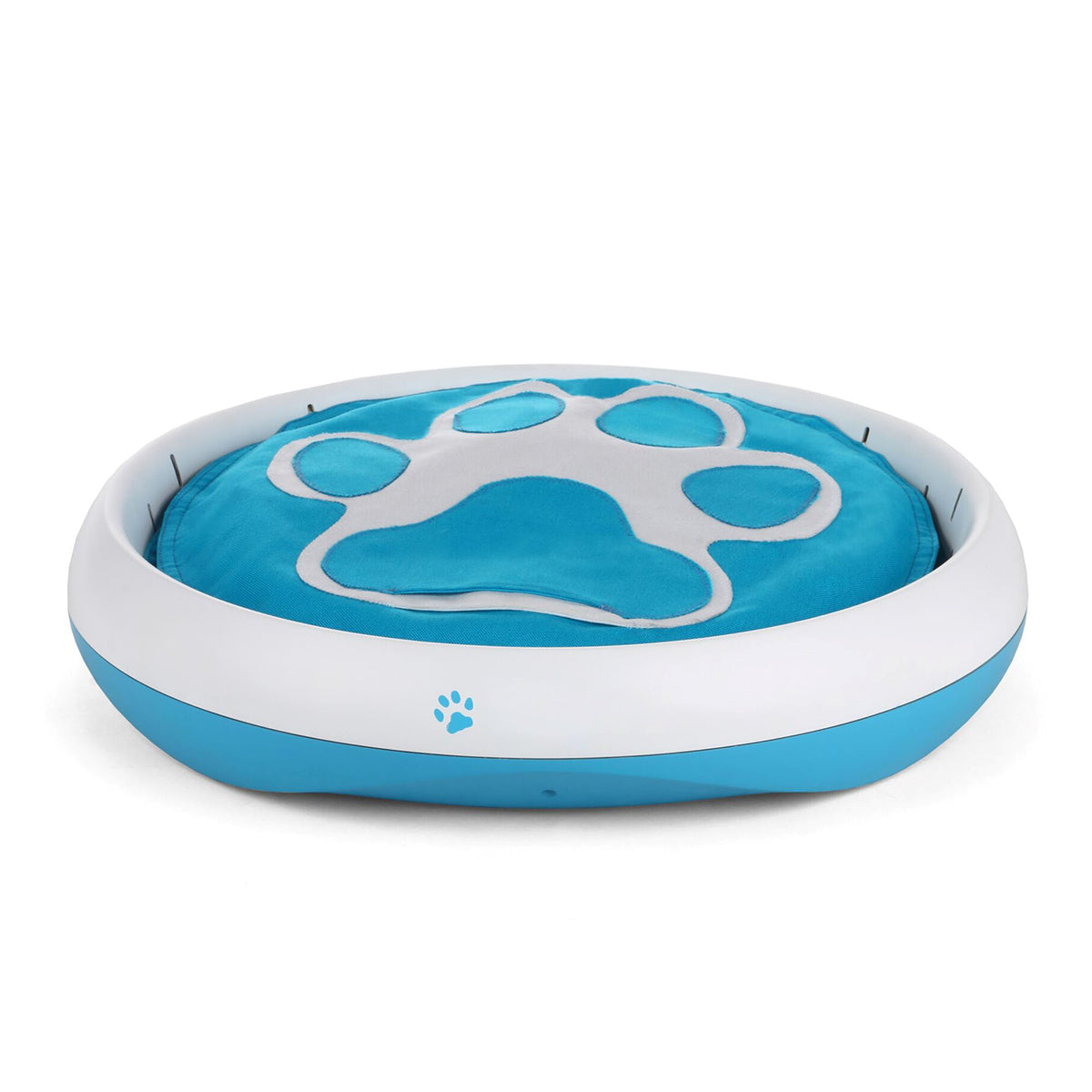 Digging Toy for Dogs