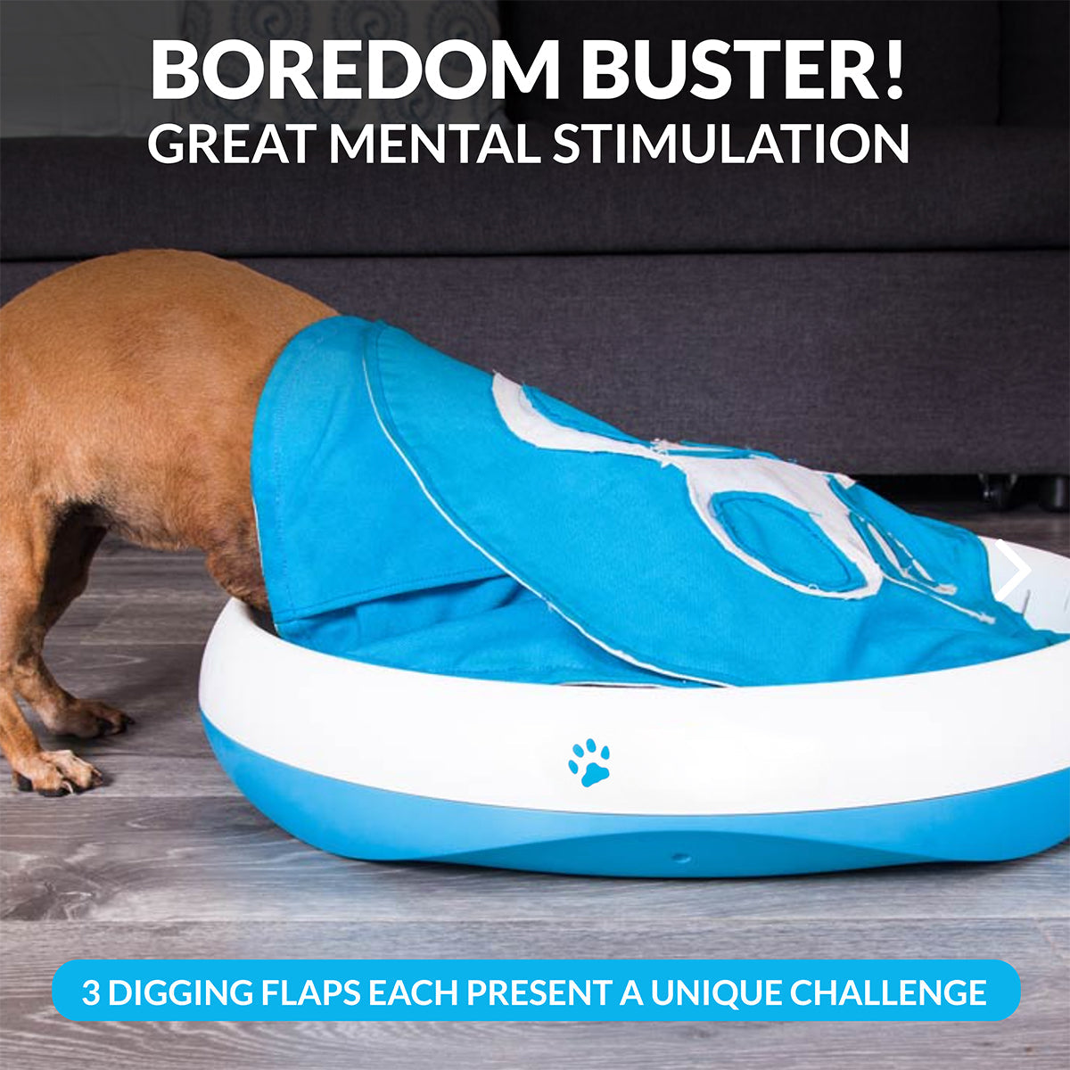 Digging Toy for Dogs