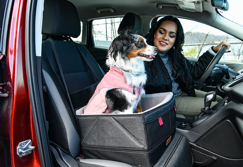 Pet Booster Seat