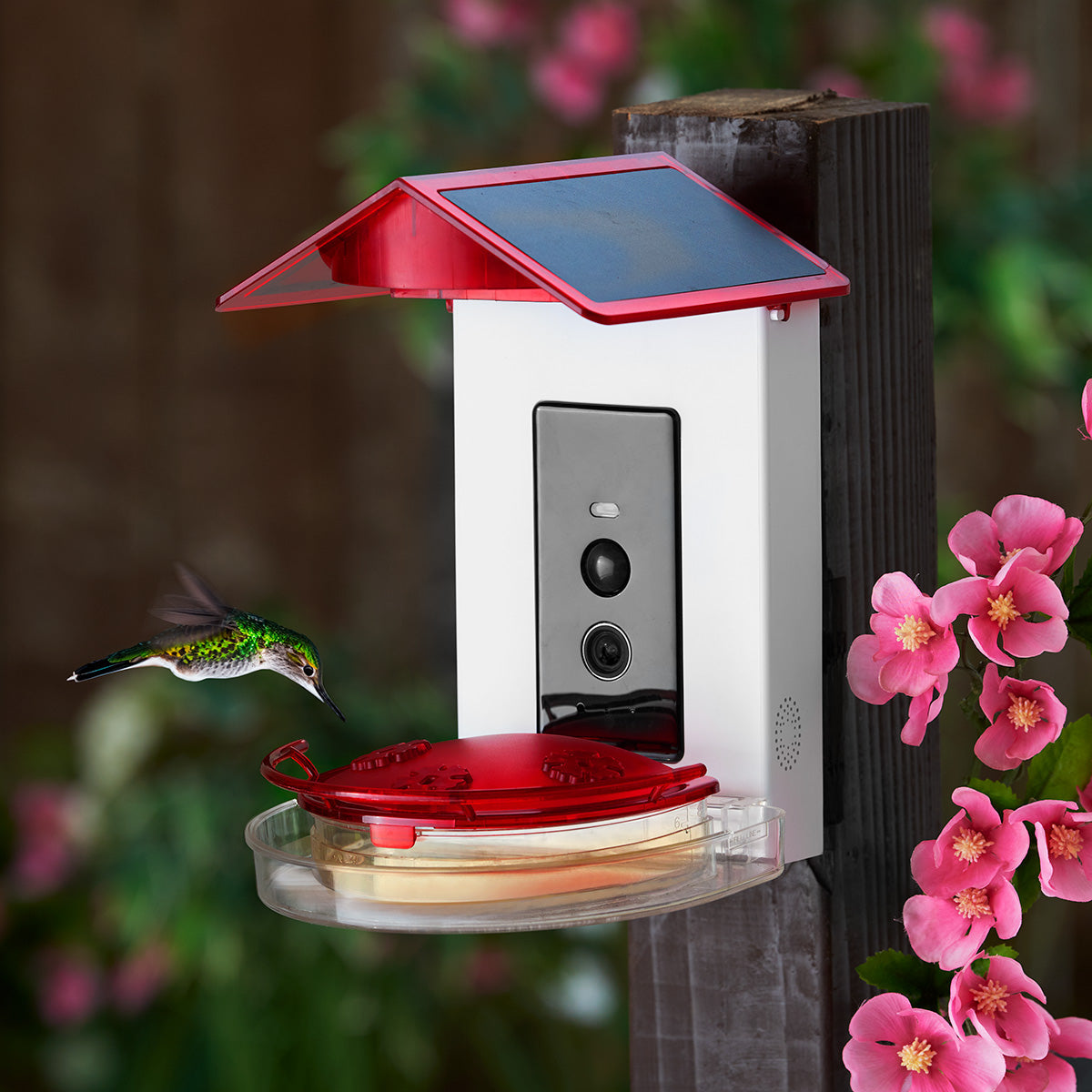 Video Camera Hummingbird Feeder by Sharper Image