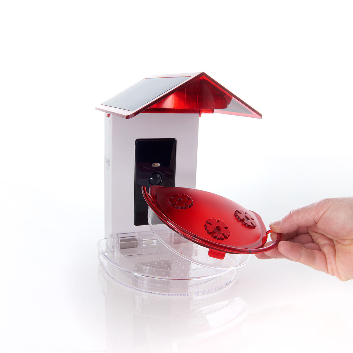 Video Camera Hummingbird Feeder by Sharper Image