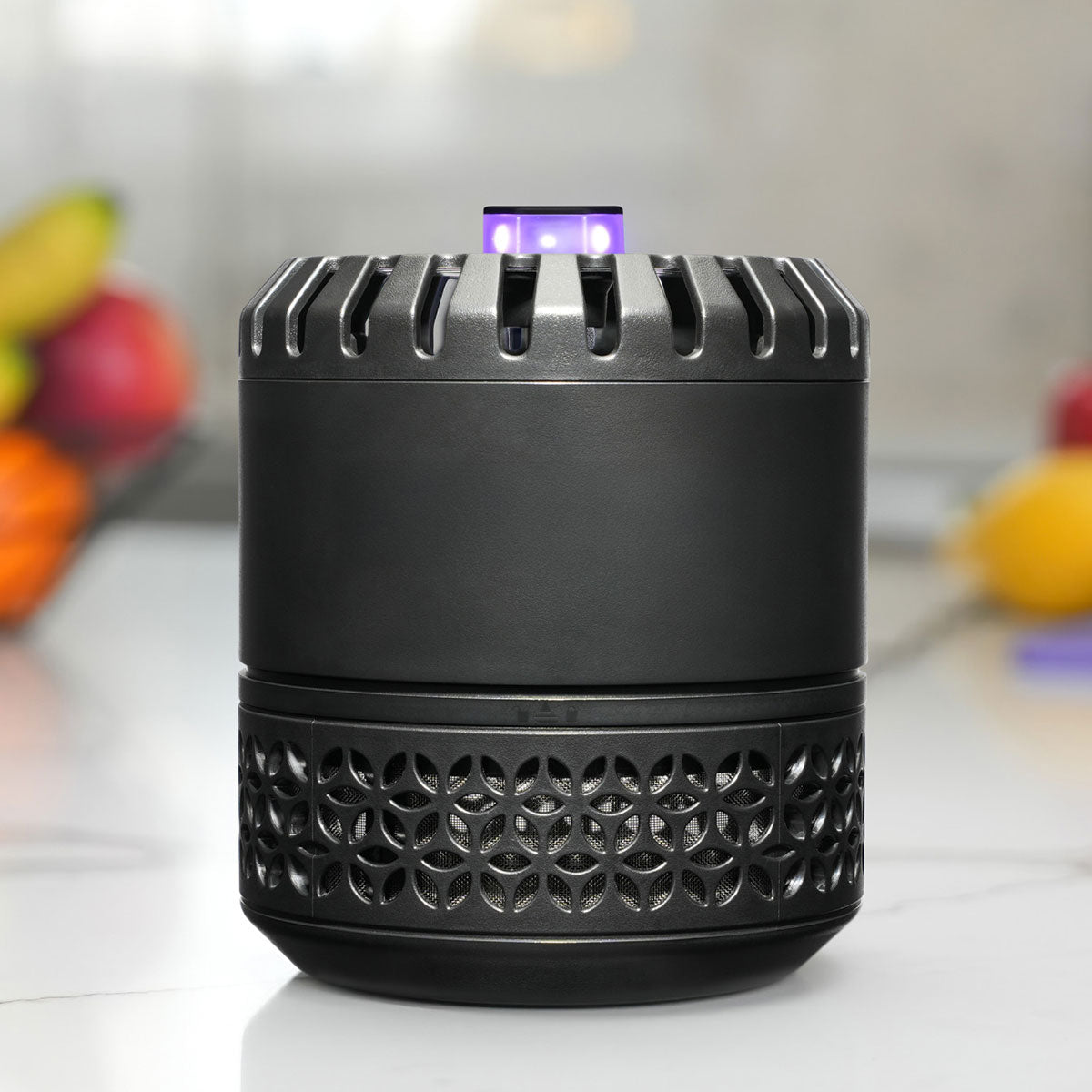 LED Indoor Fruit Fly Trap