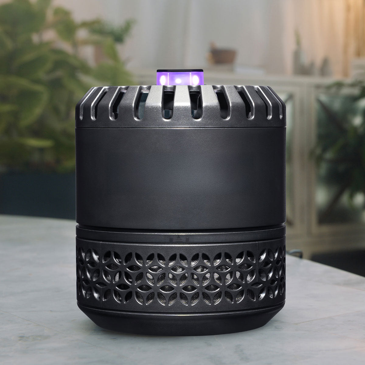 LED Indoor Fruit Fly Trap