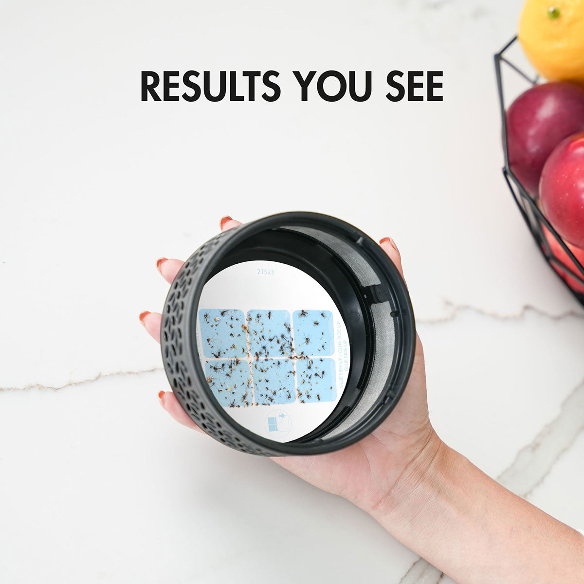 LED Indoor Fruit Fly Trap