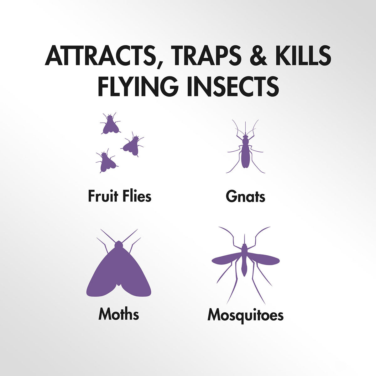 LED Indoor Fruit Fly Trap