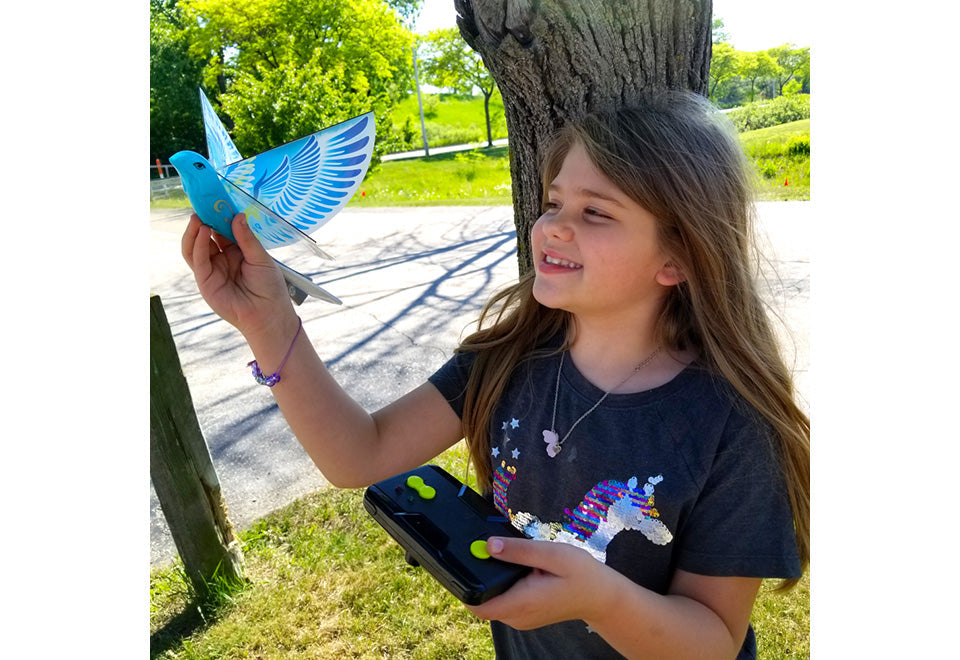 RC Flying Bird (Set of 2)