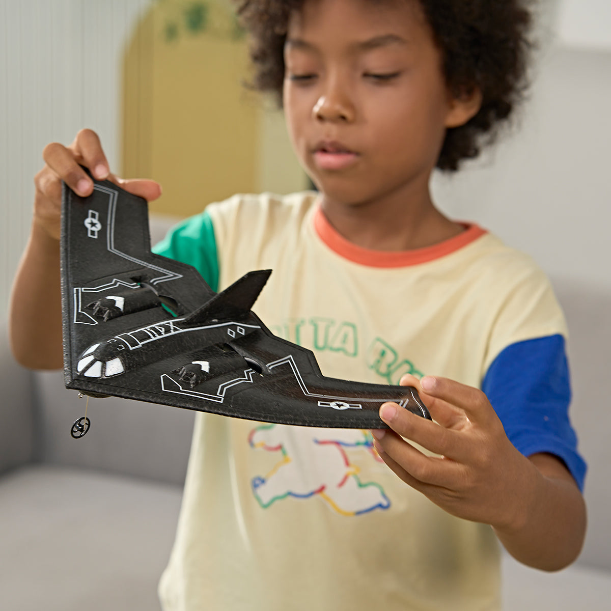 Smithsonian RC Stealth Aircraft