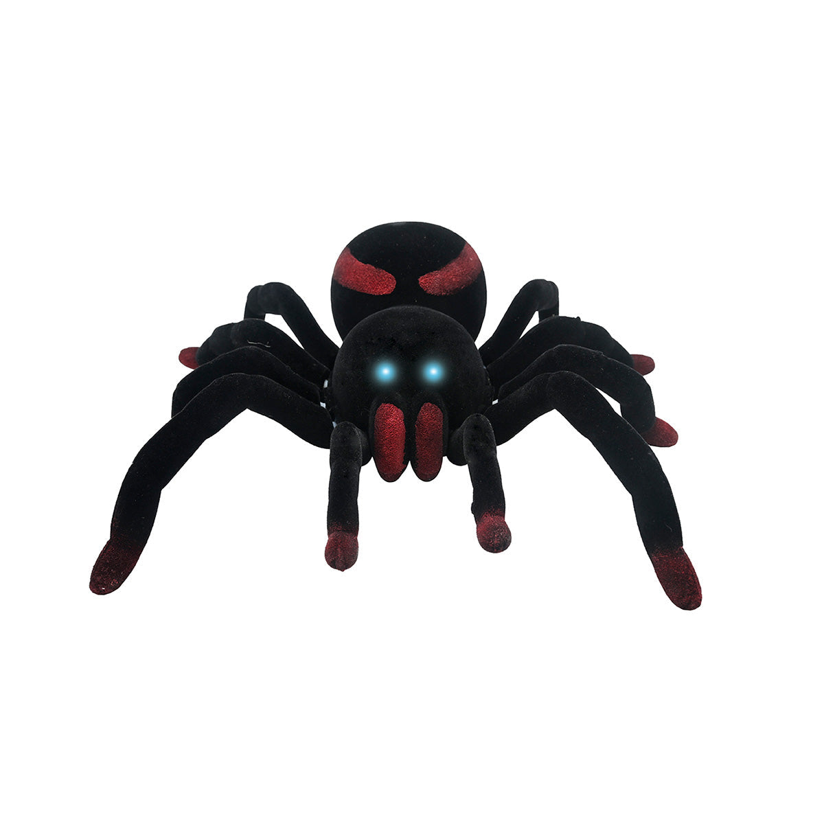 RC Tarantula