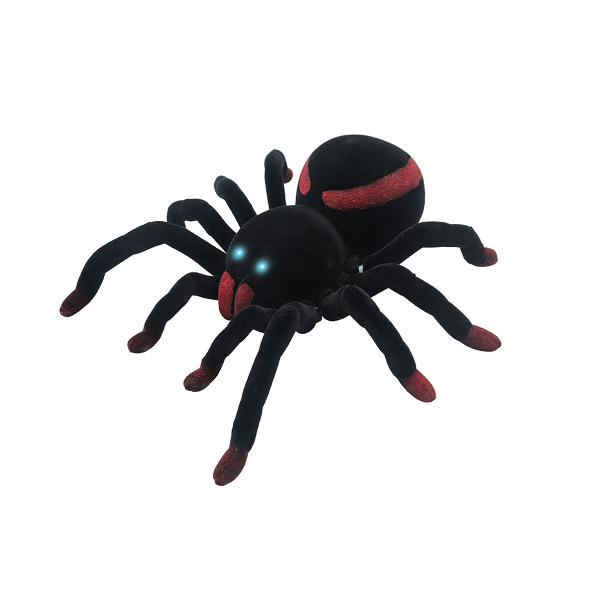 RC Tarantula