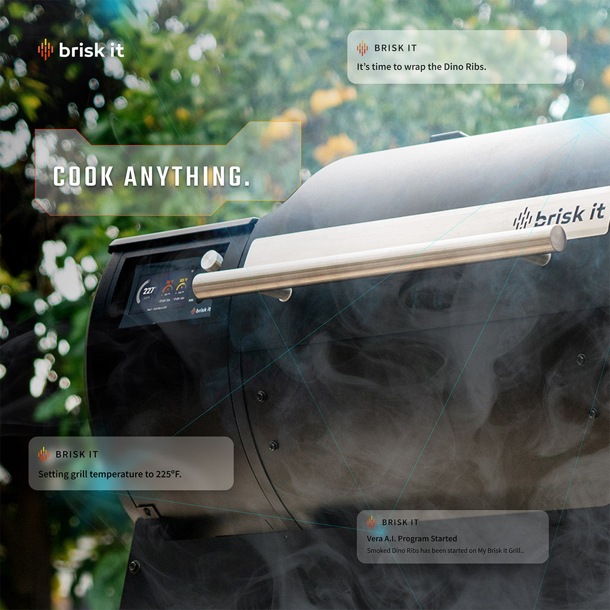 Smart Wood Pellet Smoker Grill