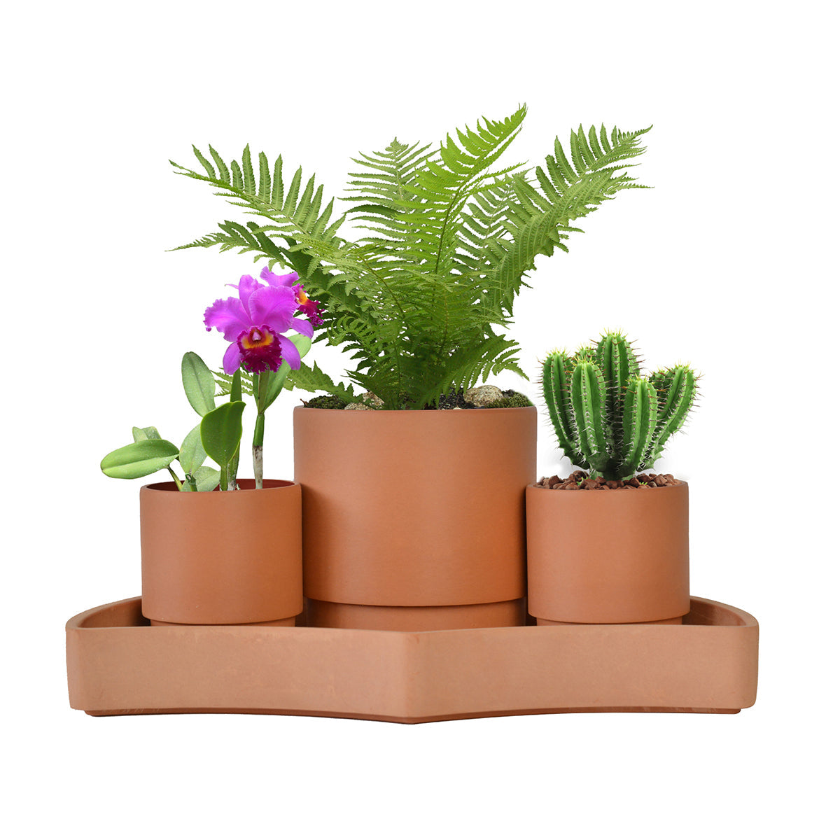 Tabletop Self-Watering Pot System for Indoor Plants (Set of 3)