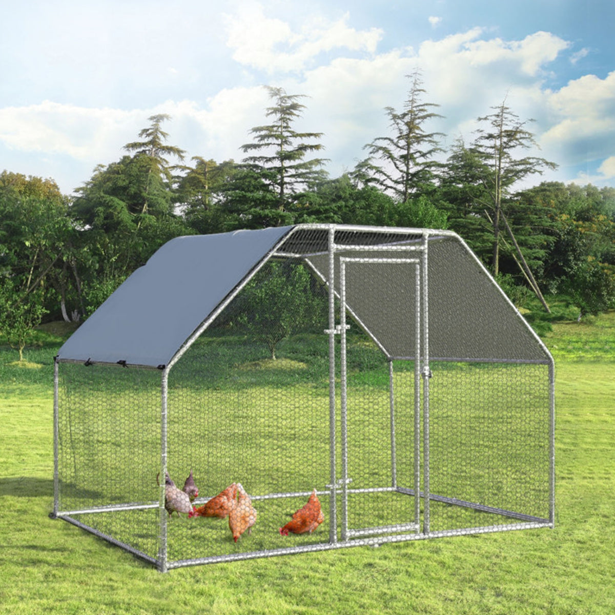Large Walk In Chicken Run Cage